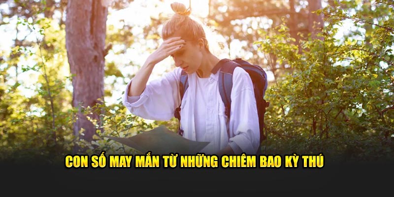 Con số may mắn từ những chiêm bao kỳ thú