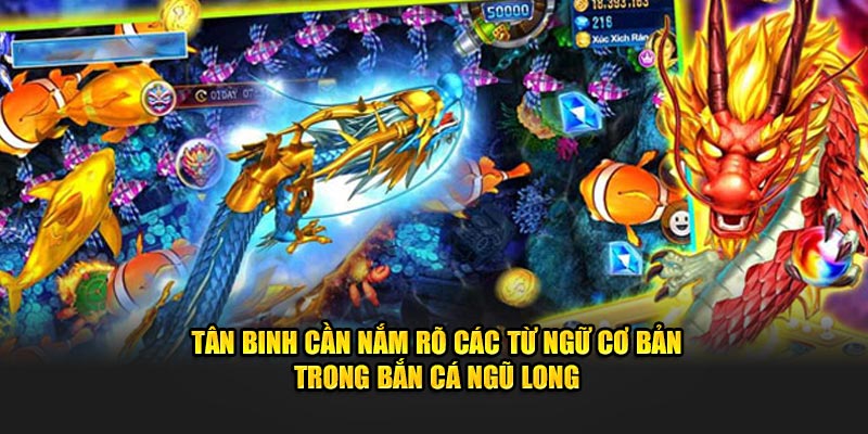 Tân binh cần nắm rõ các từ ngữ cơ bản trong Bắn Cá Ngũ Long